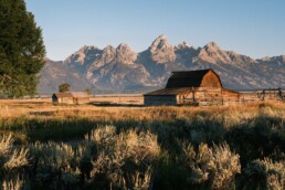 Je viens d'ailleurs et je rêve d'y retourner