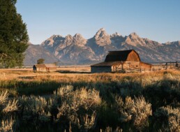 Je viens d'ailleurs et je rêve d'y retourner